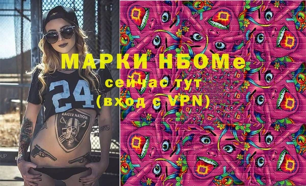 прущий лед Вяземский